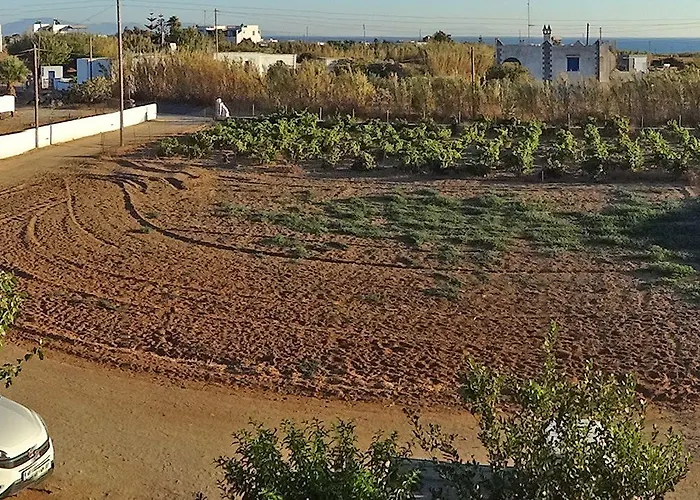 Joanna Daire Mikri Vigla