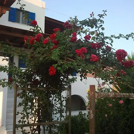 Διαμέρισμα Joanna Μικρή Βίγλα