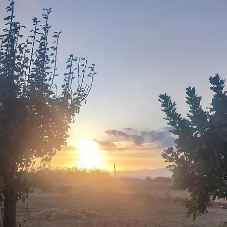 Διαμέρισμα Joanna Μικρή Βίγλα