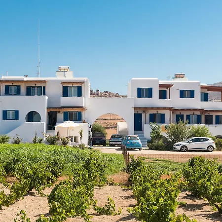 Joanna Μικρή Βίγλα