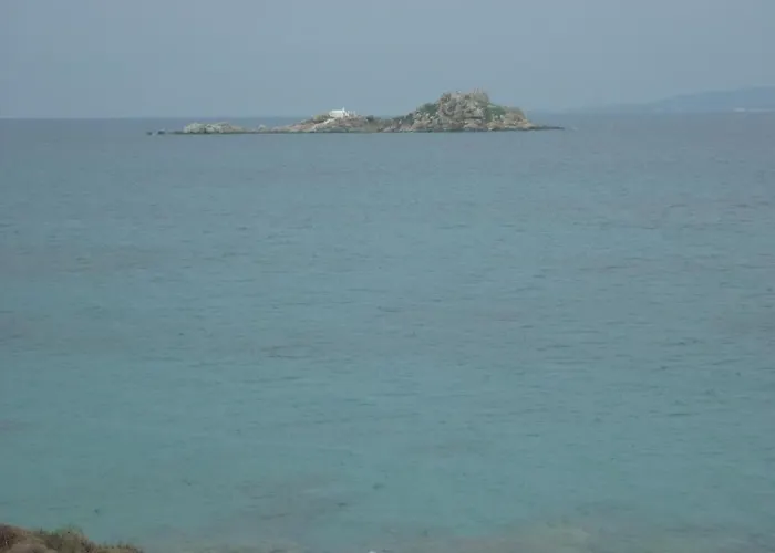 Joanna Микри-Вигла