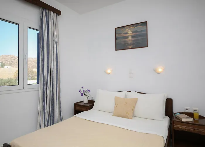 Joanna Микри-Вигла