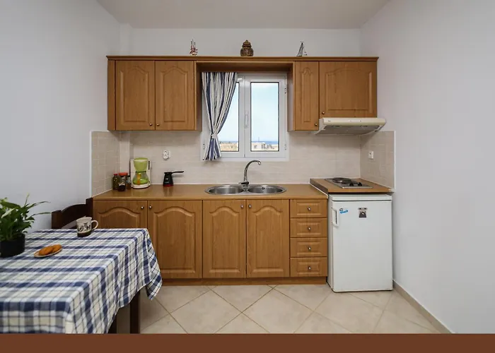 Joanna Микри-Вигла