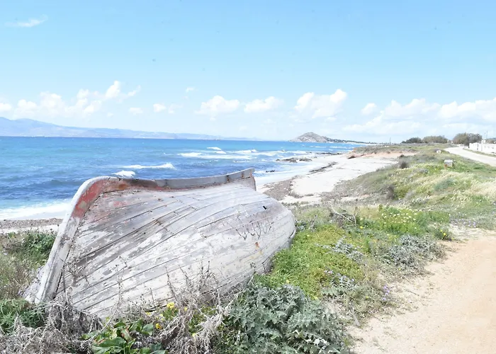 Joanna Микри-Вигла