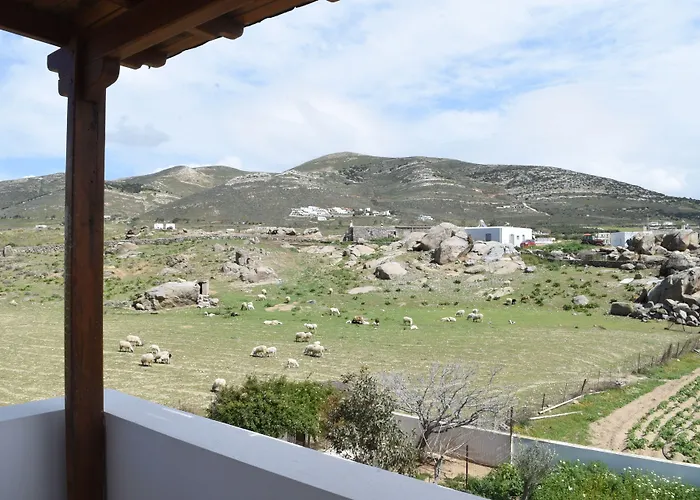 Апартаменты Joanna Микри-Вигла