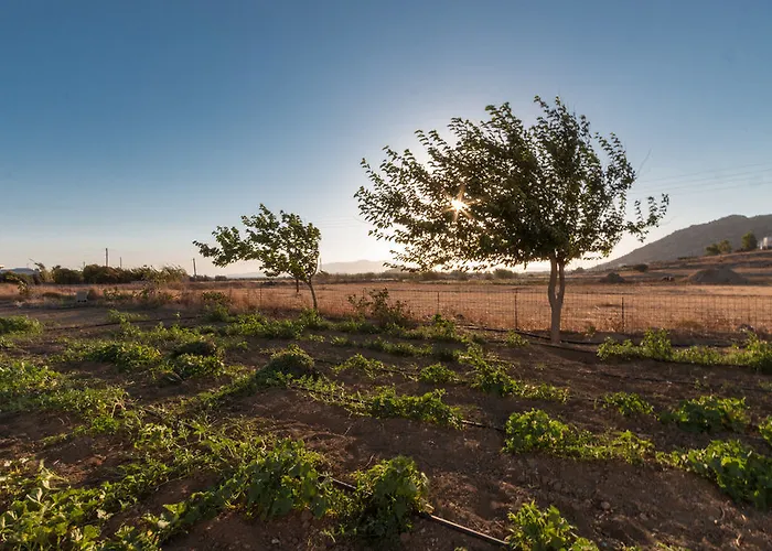 Joanna Апартаменты Микри-Вигла